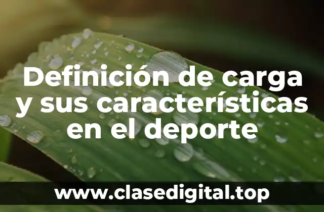 Definición de carga y sus características en el deporte