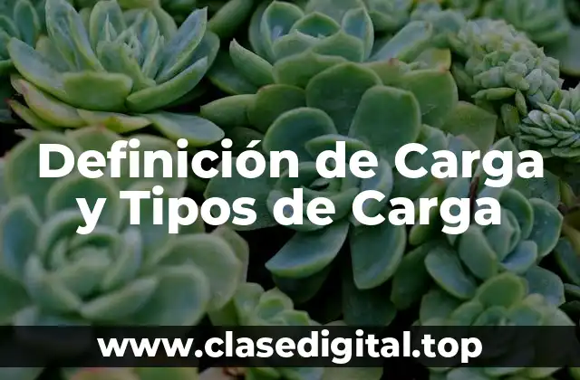 Definición de Carga y Tipos de Carga