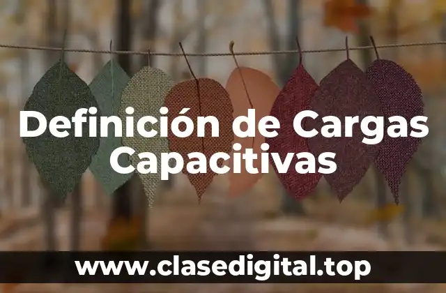 Definición de Cargas Capacitivas