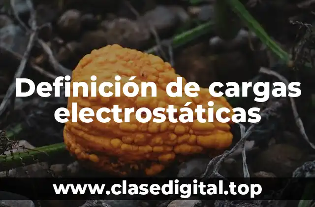 Definición de cargas electrostáticas