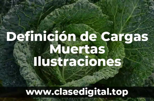 Ejemplos de Cargas Muertas Ilustraciones