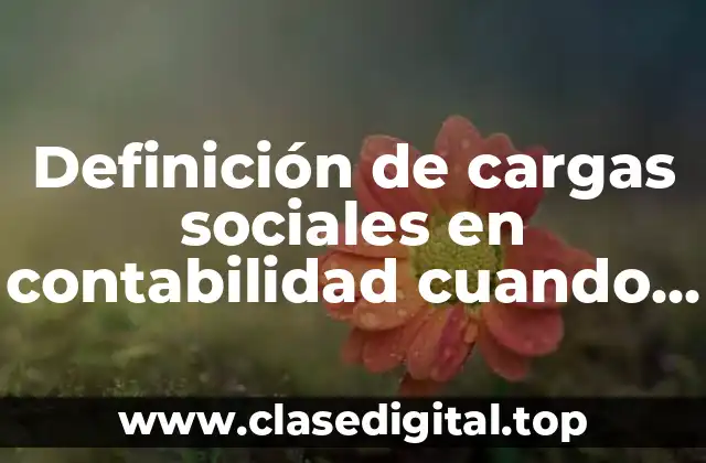 Definición de cargas sociales en contabilidad cuando se debita