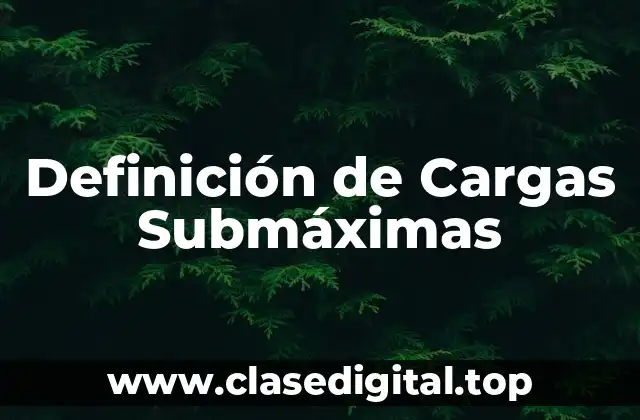 Definición de Cargas Submáximas