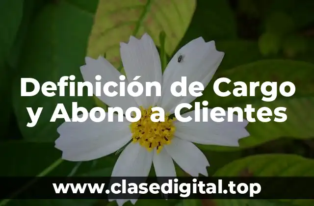 Definición de Cargo y Abono a Clientes