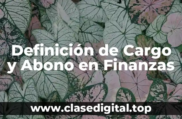 Definición de Cargo y Abono en Finanzas