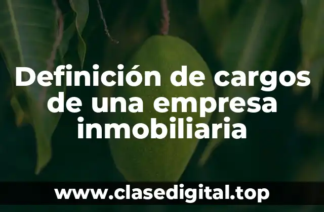 Definición de cargos de una empresa inmobiliaria