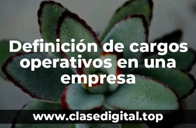 Definición de cargos operativos en una empresa