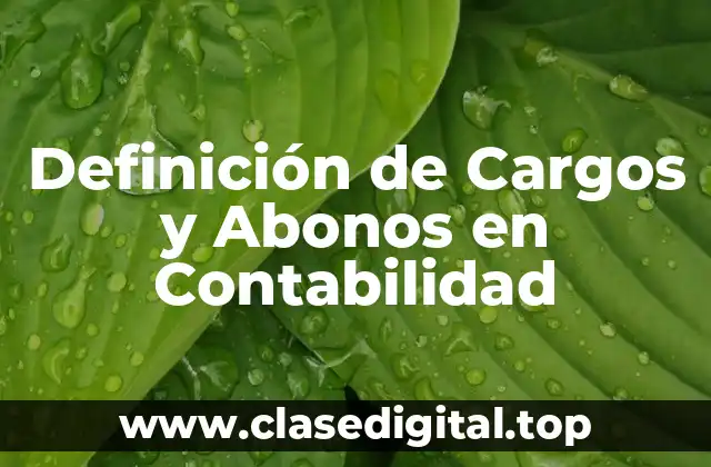 Definición de Cargos y Abonos en Contabilidad