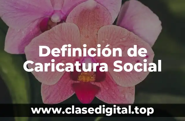 Definición Técnica de Caricatura Social