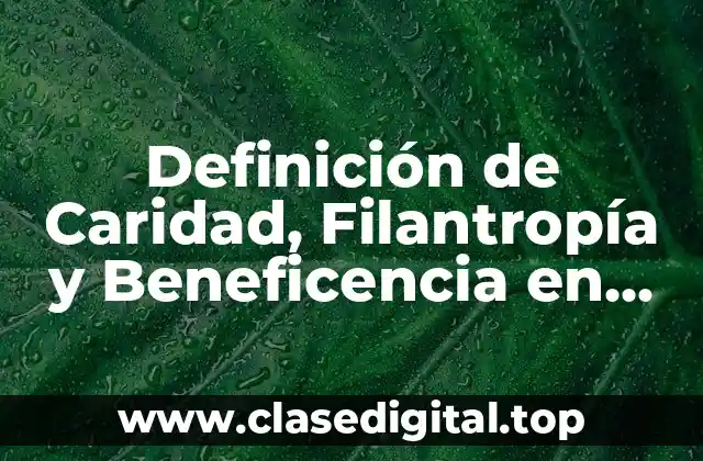 Definición de Caridad, Filantropía y Beneficencia en Teoría Social