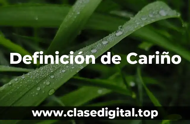 Definición técnica de Cariño