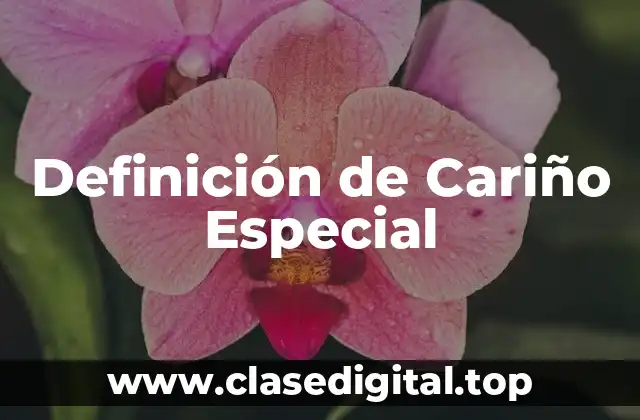 Definición de Cariño Especial