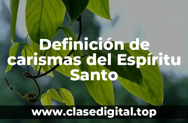Ejemplos de carismas del Espíritu Santo
