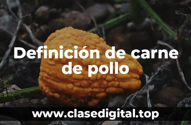 Definición de carne de pollo