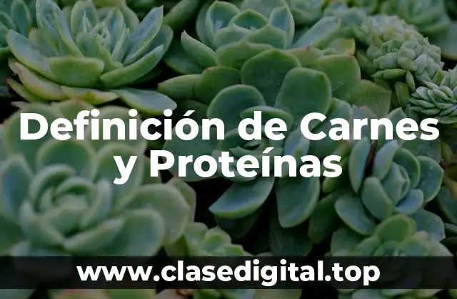 Definición de Carnes y Proteínas