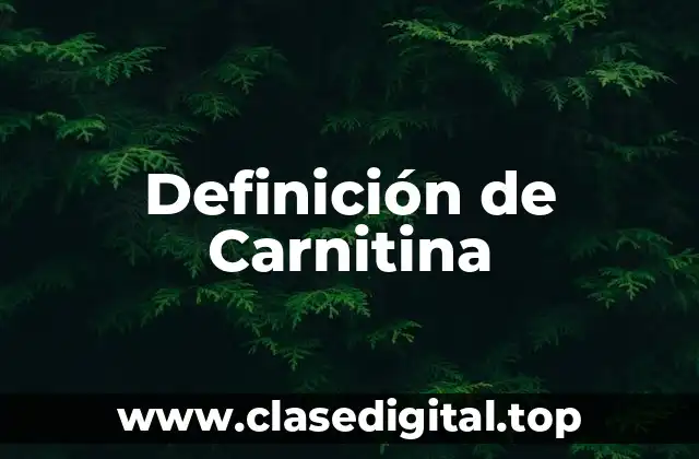 Definición de Carnitina