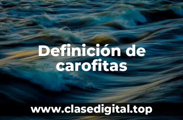 Definición de carofitas