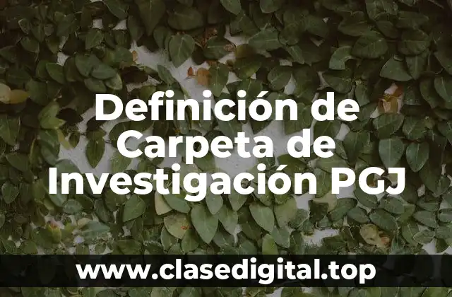 Definición técnica de Carpeta de Investigación PGJ