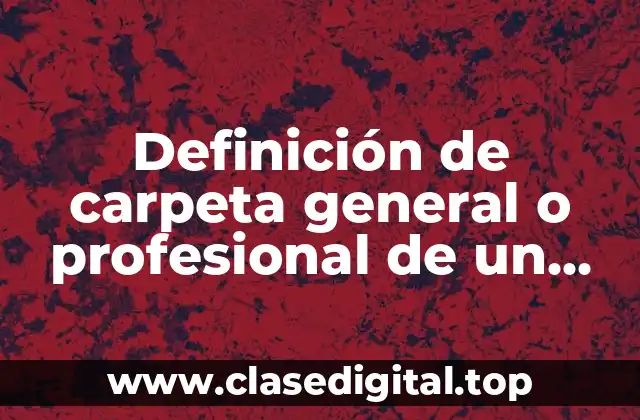 Definición de carpeta general o profesional de un proyecto