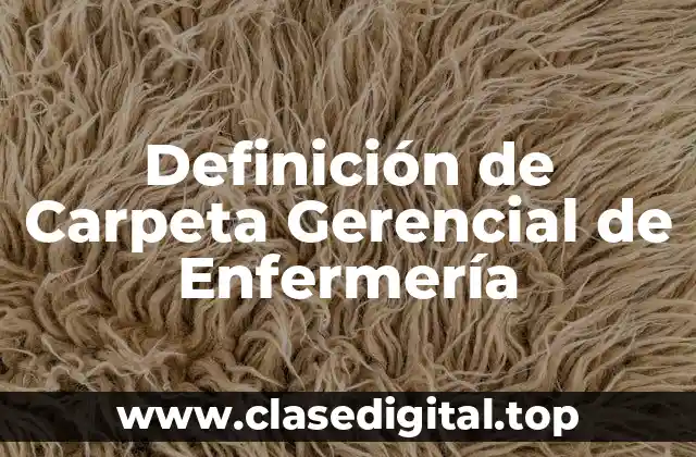 Definición técnica de Carpeta Gerencial de Enfermería