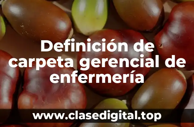 Definición de carpeta gerencial de enfermería