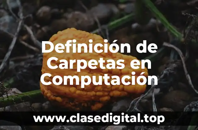 Definición de Carpetas en Computación