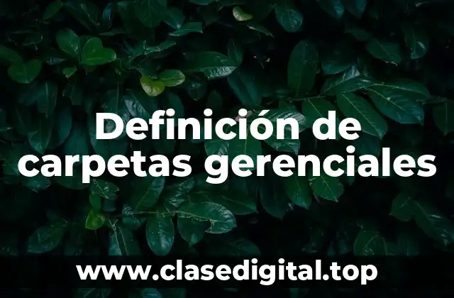 Ejemplos de carpetas gerenciales