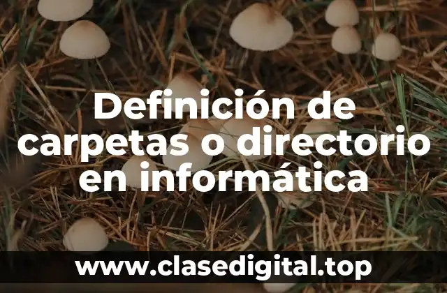 Definición de carpetas o directorio en informática