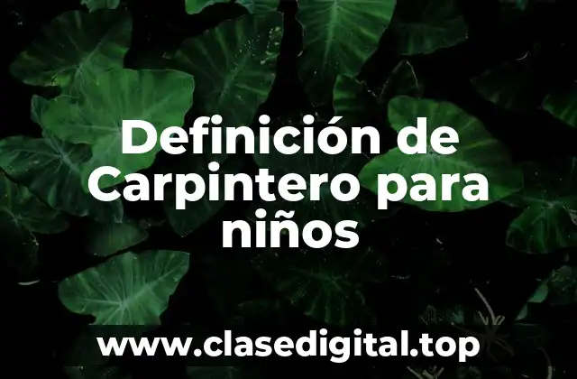 Definición de Carpintero para niños