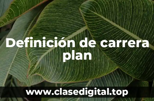 Definición de carrera plan