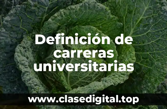Definición de carreras universitarias