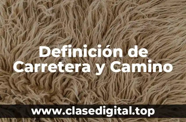 Definición de Carretera y Camino