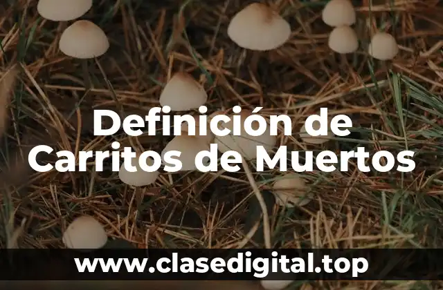 Definición de Carritos de Muertos