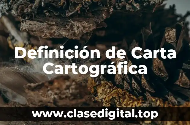 Definición de Carta Cartográfica