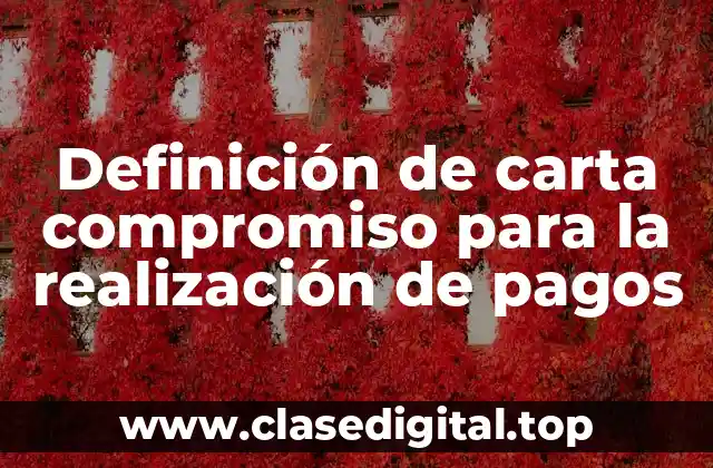 Definición de carta compromiso para la realización de pagos