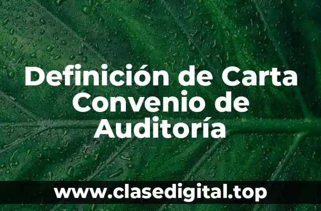 Definición de Carta Convenio de Auditoría