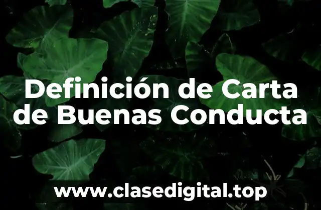Definición de Carta de Buenas Conducta