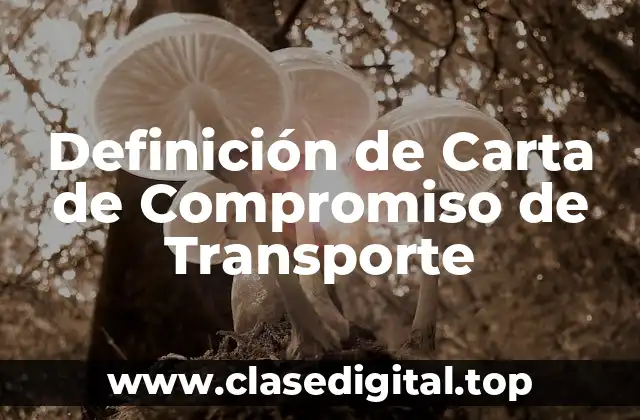 Definición de Carta de Compromiso de Transporte