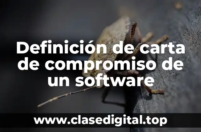 Definición de carta de compromiso de un software