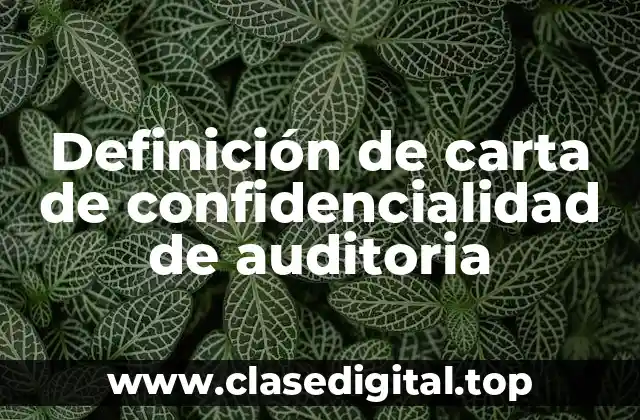 Definición de carta de confidencialidad de auditoria