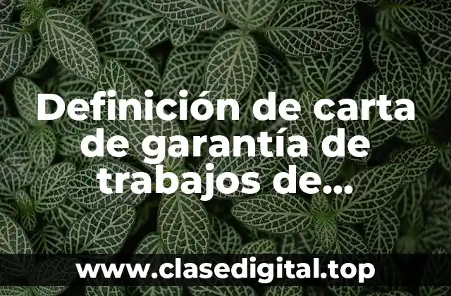 Definición de carta de garantía de trabajos de construcción
