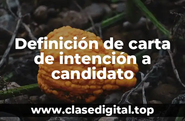 Definición de carta de intención a candidato