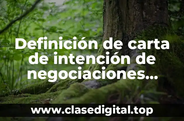Definición de carta de intención de negociaciones internacionales