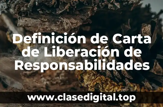 Definición técnica de Carta de Liberación de Responsabilidades