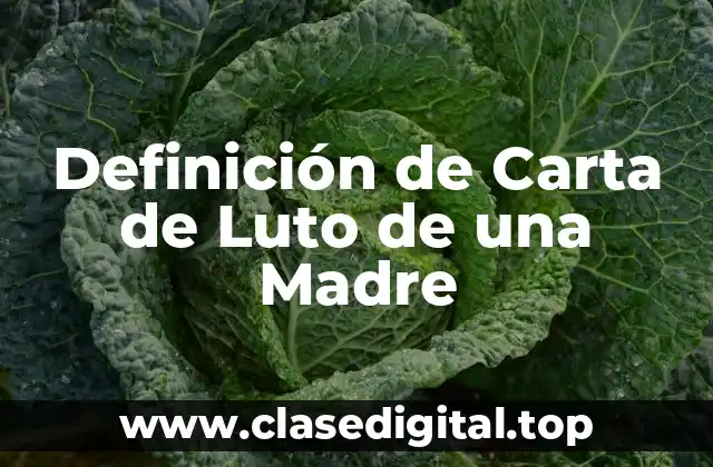 Definición de Carta de Luto de una Madre