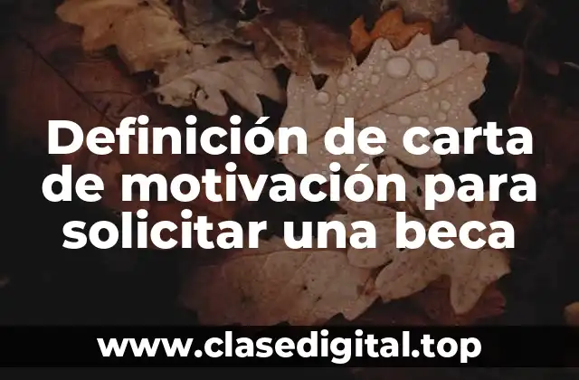 Definición de carta de motivación para solicitar una beca