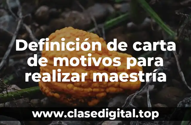 Definición de carta de motivos para realizar maestría