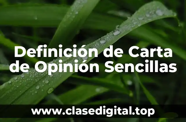 Definición de Carta de Opinión Sencillas