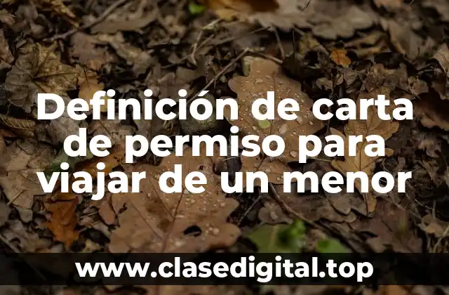 Ejemplos de carta de permiso para viajar de un menor