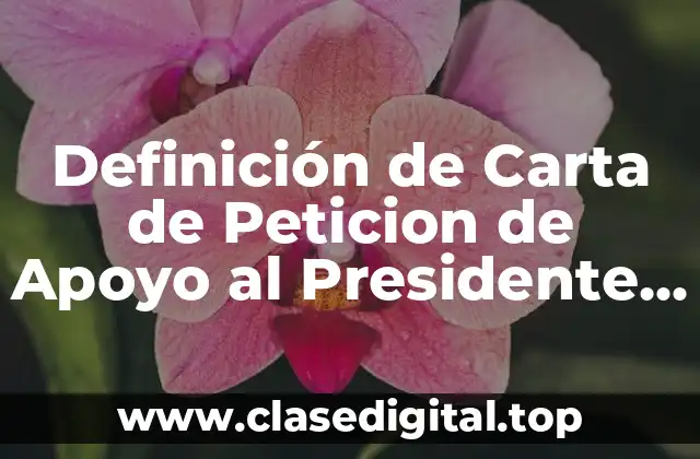 Definición de Carta de Peticion de Apoyo al Presidente Municipal